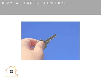 Domy w  Head of Linefork