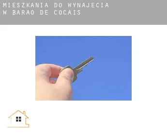 Mieszkania do wynajęcia w  Barão de Cocais