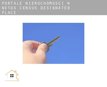 Portale nieruchomości w  Netos