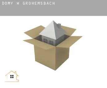 Domy w  Großhemsbach