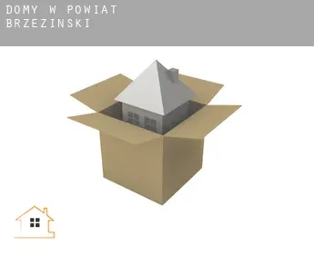 Domy w  Powiat brzeziński