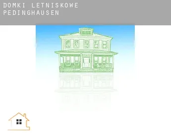 Domki letniskowe  Pedinghausen
