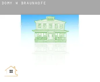 Domy w  Braunhöfe
