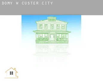 Domy w  Custer City