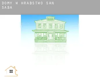 Domy w  Hrabstwo San Saba