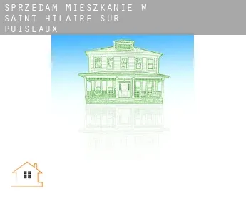 Sprzedam mieszkanie w  Saint-Hilaire-sur-Puiseaux