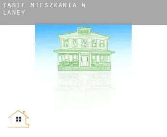 Tanie mieszkania w  Laney