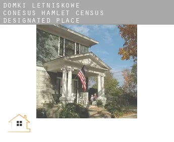 Domki letniskowe  Conesus Hamlet