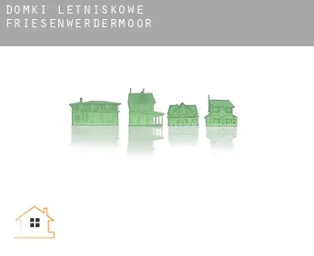Domki letniskowe  Friesenwerdermoor