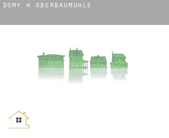 Domy w  Oberbaumühle