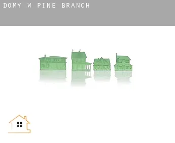 Domy w  Pine Branch