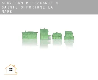 Sprzedam mieszkanie w  Sainte-Opportune-la-Mare