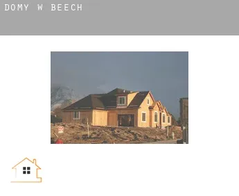 Domy w  Beech