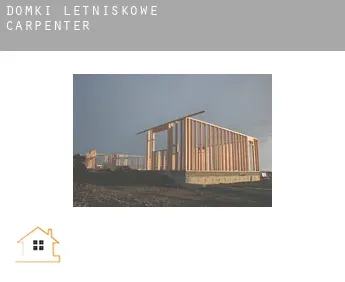 Domki letniskowe  Carpenter