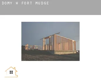 Domy w  Fort Mudge