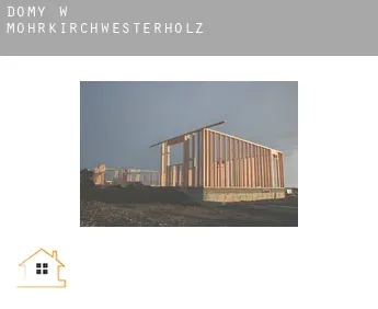 Domy w  Mohrkirchwesterholz