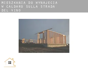 Mieszkania do wynajęcia w  Caldaro sulla strada del vino