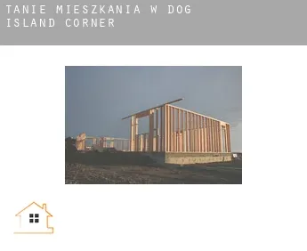 Tanie mieszkania w  Dog Island Corner