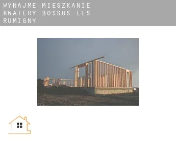 Wynajmę mieszkanie kwatery  Bossus-lès-Rumigny