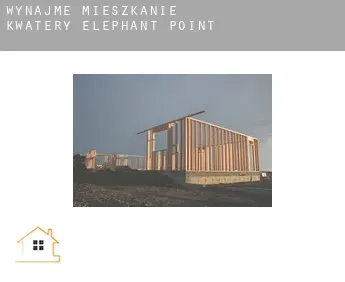 Wynajmę mieszkanie kwatery  Elephant Point