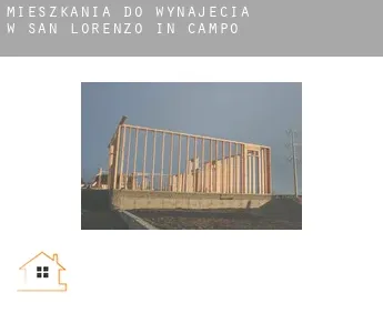 Mieszkania do wynajęcia w  San Lorenzo in Campo