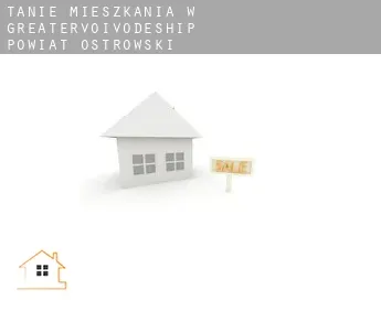 Tanie mieszkania w  Powiat ostrowski (Greater Poland Voivodeship)