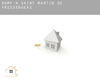 Domy w  Saint-Martin-de-Fressengeas