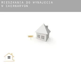 Mieszkania do wynajęcia w  Caernarvon