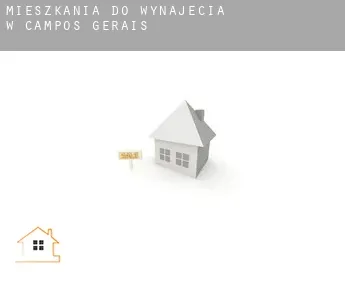 Mieszkania do wynajęcia w  Campos Gerais