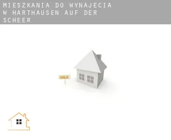 Mieszkania do wynajęcia w  Harthausen auf der Scheer