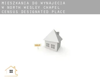 Mieszkania do wynajęcia w  North Wesley Chapel
