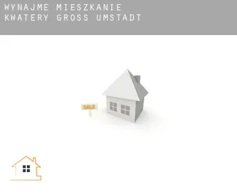 Wynajmę mieszkanie kwatery  Groß-Umstadt