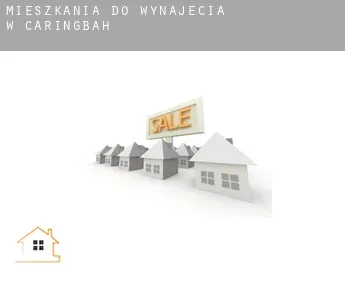 Mieszkania do wynajęcia w  Caringbah