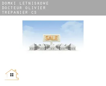 Domki letniskowe  Docteur-Olivier-Trépanier (census area)
