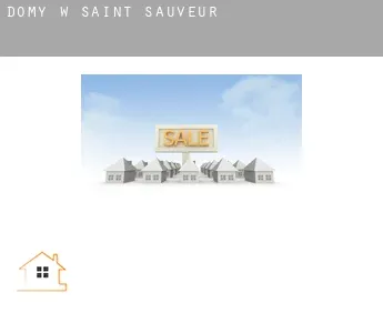 Domy w  Saint-Sauveur