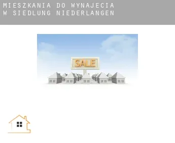 Mieszkania do wynajęcia w  Siedlung Niederlangen