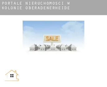 Portale nieruchomości w  Kolonie Oberadenerheide