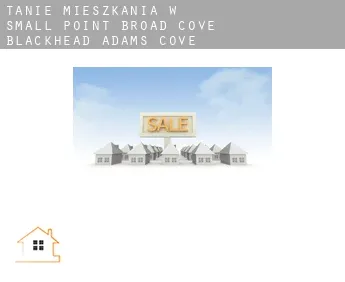 Tanie mieszkania w Small Point-Broad Cove-Blackhead-Adams Cove
