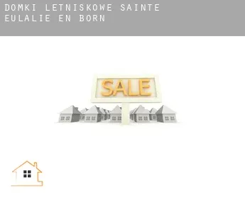Domki letniskowe  Sainte-Eulalie-en-Born