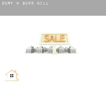 Domy w  Burr Hill