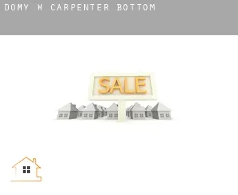 Domy w  Carpenter Bottom