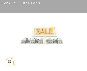 Domy w  Hornetown