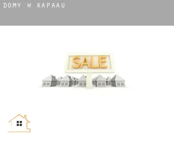 Domy w  Kapaau