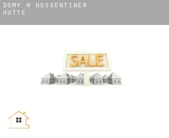Domy w  Nossentiner Hütte