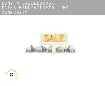 Domy w  Saddlebrook Farms Manufactured Home Community