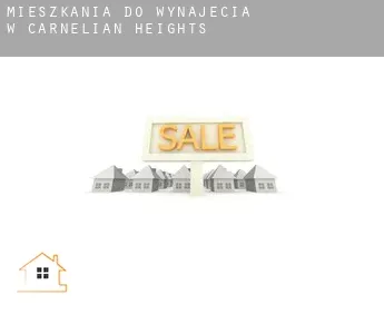 Mieszkania do wynajęcia w  Carnelian Heights