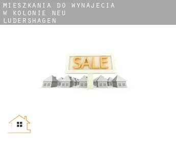 Mieszkania do wynajęcia w  Kolonie Neu Lüdershagen