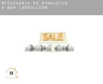 Mieszkania do wynajęcia w  New Carrollton