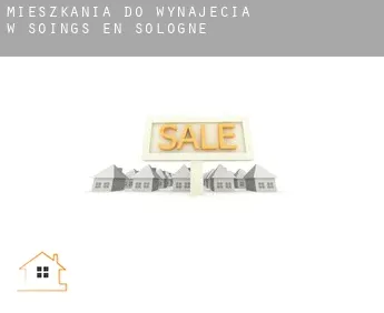 Mieszkania do wynajęcia w  Soings-en-Sologne