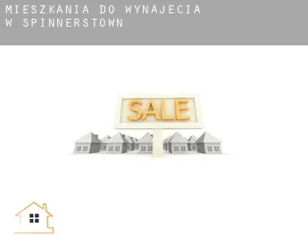Mieszkania do wynajęcia w  Spinnerstown